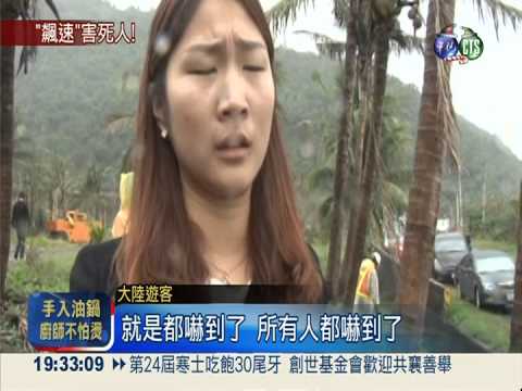 聯結車撞陸客團 駕駛不治9人傷