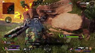 毎日APEX 41日ソロロ