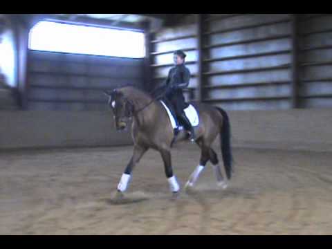 Petras Sales Video-RasputinFeb.2012 w Allie 024.wmv