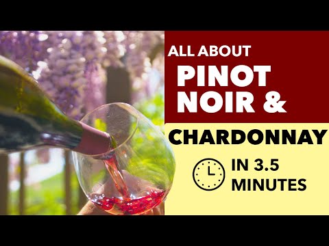 Pinot Noir and Chardonnay - All About These Cool Climate Wine Grapes