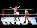 Bas Rutten The Brutal King Of Pancrase