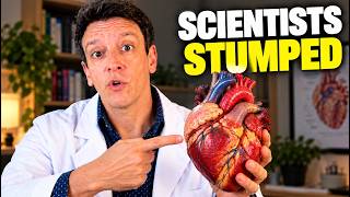 Ground-Breaking New Study Challenges Causes of Heart Disease