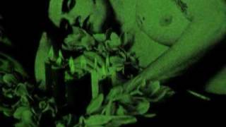 R.I.P. Peter Steele - My tribute (Blood and Fire - TON)