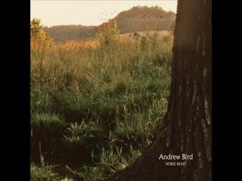 Andrew Bird - Effigy