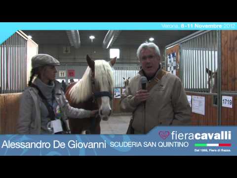 Intervista ad Alessandro De Giovanni, Scuderia San Quintino