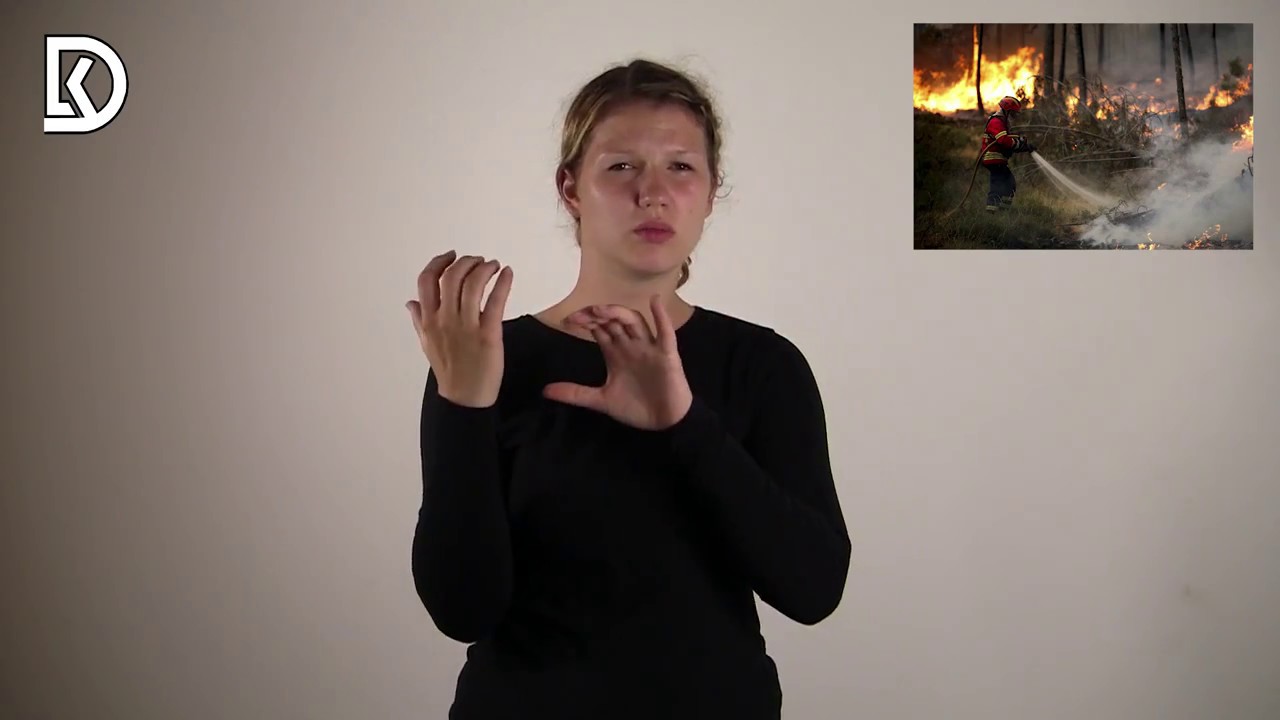 Portugalijoje - siaubingas miško gaisras