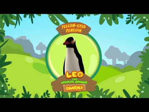 Witness21  2017 12 21