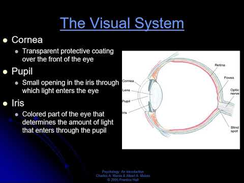 John Van Alstine Via Solaris John Van Alstine Via Solaris