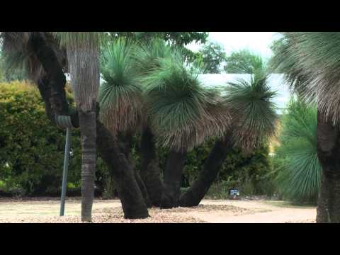 Royal Botanic Gardens Cranbourne