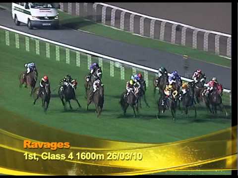 Longines Singapore Gold Cup 2010 Contenders (Ravages)