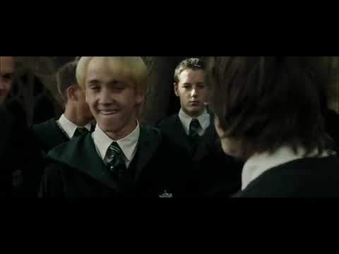 Harry Potter And The Goblet Of Fire: Draco Malfoy Turns Into A Ferret (2005)