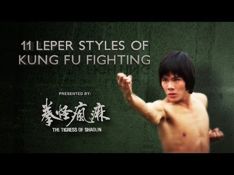 11 Leper Styles Of Kung Fu Fighting