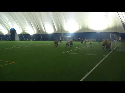 PALLOKISSAT 06 (maalikooste syksy 2019)