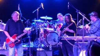 Los Lobos perform 'Dear Mister Fantasy' with Jeff Mattson of DSO in Jamaica on January 21 2017
