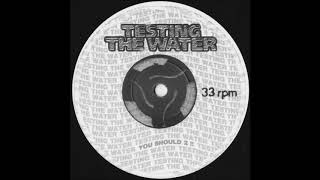 The Timeless Love Orchestra ‎– I Feel Love (The Tellurians House Mix)