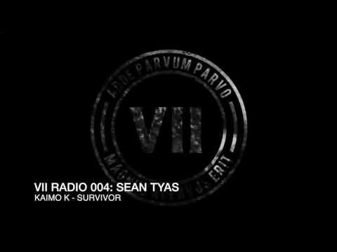 VII Radio 004 - Sean Tyas