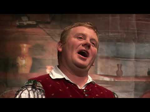 Ansambel Bitenc - Vijolica