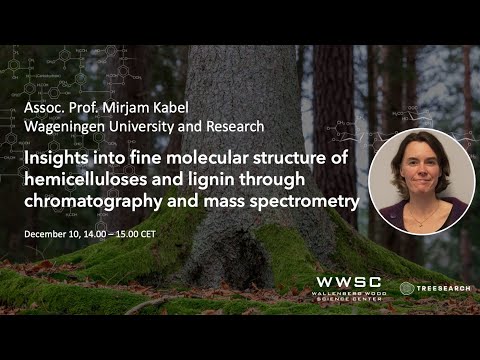 , title : 'WWSC Wood Biopolymer Characterization Webinars: Mirjam Kabel, Wageningen University and Research'