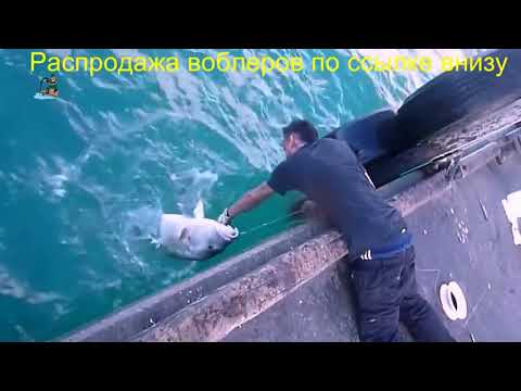 Megabass vision 130 magnum