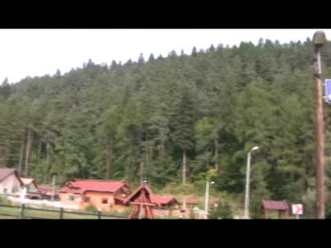 Bluewolves to Tarnaveni