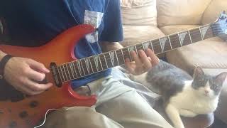 State Champs - Stitches Guitar Cover | HD