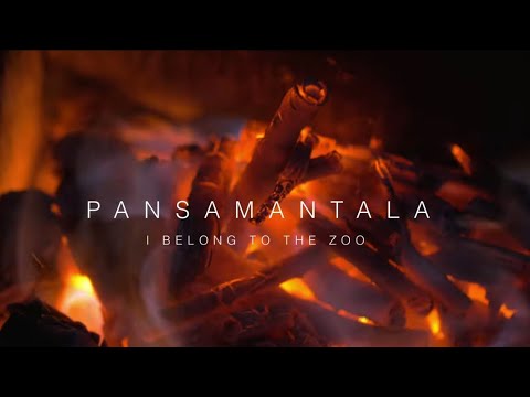 I Belong to the Zoo - Pansamantala (Live Acoustic Session)