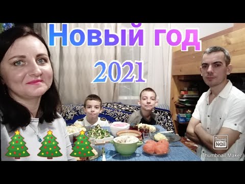 Как мы встречали Новый год 2021 / Новогодний влог / Anika Z