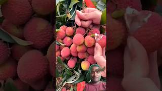 Download lagu resso meetha fal #fruitcutting #tereliyehumhaijiye 🥰🥰🥰 mp3 Download lagu resso meetha fal #fruitcutting #tereliyehumhaijiye 🥰🥰🥰 mp3