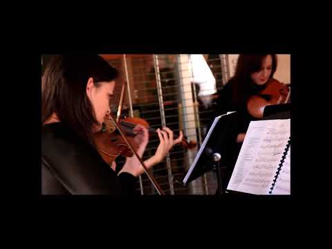 Wedding Entertainment South Of France - Classical String Quartet