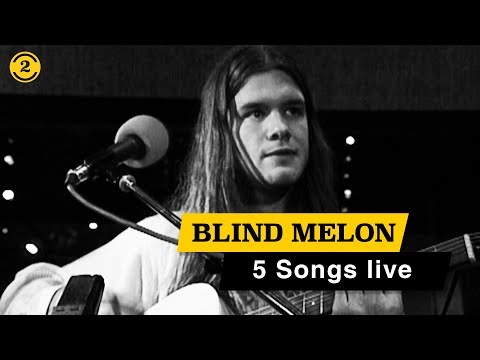 BLIND MELON - Live in 1993 | NO RAIN,  ST. ANDREW'S FALL, PAPER SCRATCHER on 2 Meter Sessions
