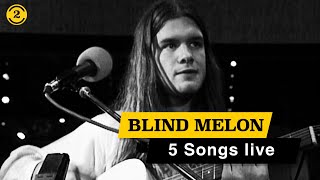 BLIND MELON - Live in 1993 | NO RAIN,  ST. ANDREW&#39;S FALL, PAPER SCRATCHER on 2 Meter Sessions