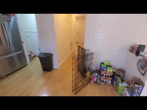 1625 Kemper St - Video 2 of 2