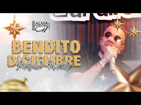 BENDITO DICIEMBRE  -  PANGUITO MAESTRE  #SEMETIÓDICIEMBRE ALMA PARRANDERA