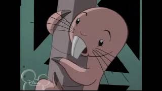 Rock-a-bye Rufus