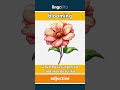blooming (adjective) - definition and usage in English