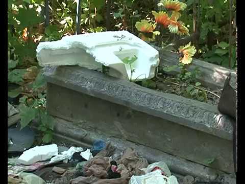 На курском кладбище из памятника сделали собачью будку