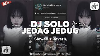 Download lagu DJ SOLO SLOWED REVERB - VIRAL TIKTOK !!! mp3