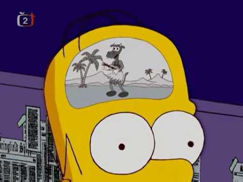 Inside Homers head