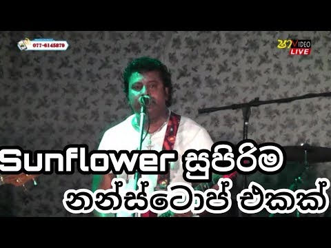 SUNFLOWER new nonstop