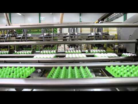 Impressionen Osterverkauf Eier Amshoff