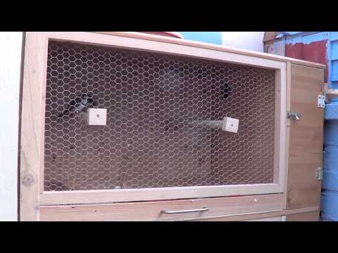 Owl Finch Breeding Cage