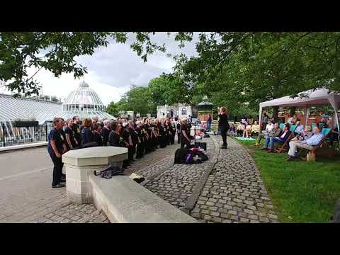 Roar Norwich Rock Choir