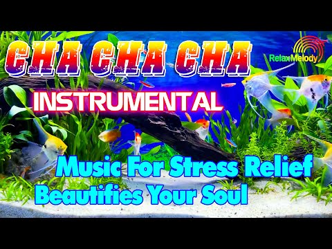 Cha Cha Cha Relaxing Instrumental Music, Relaxation Music For Stress Relief and Beautifies Your Soul