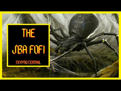 J'ba Fofi - コンゴの巨大クモ |短編ドキュメンタリー (2022)