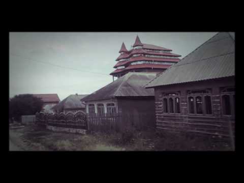 RADOAIA BACAU,SATUL PALATELOR