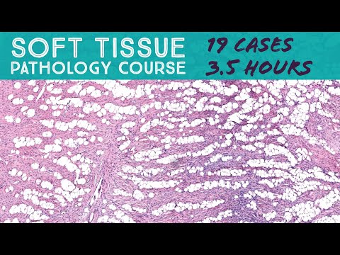 Soft Tissue Pathology Course: 19 Cases in 3.5 Hours (Oregon Pathologists Association 2021)