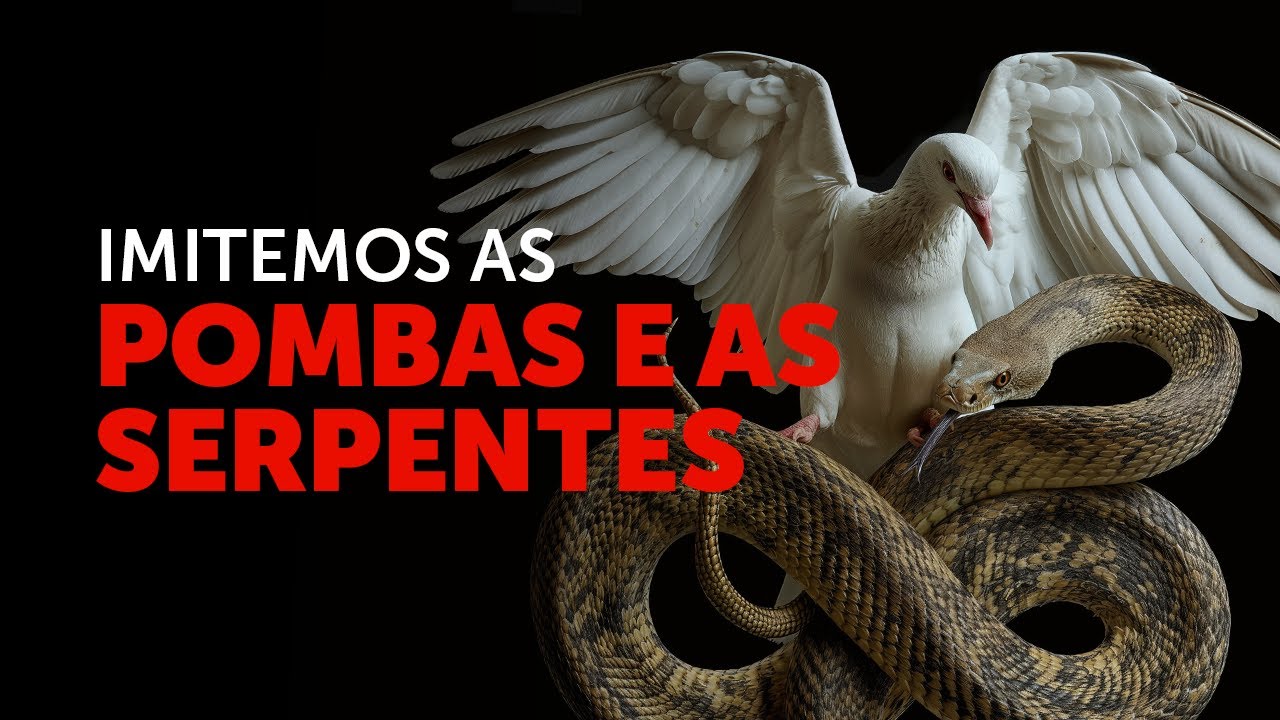 Pregação Seleta | No meio dos lobos, imite as pombas e as serpentes!