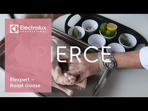 Elexpert: Roast Goose