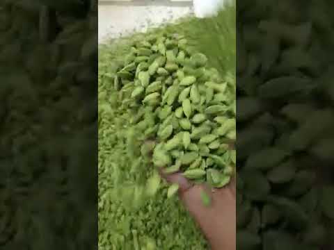 1 kg green cardamom