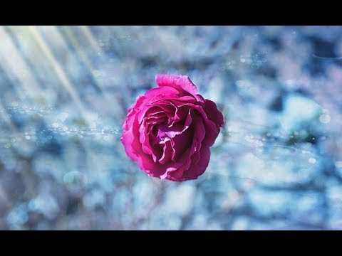 Video thumbnail for 우울한 편지 (Melancholy Letter)